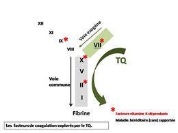 figure_illustrant_tq_r50__042551100_1628_21072016