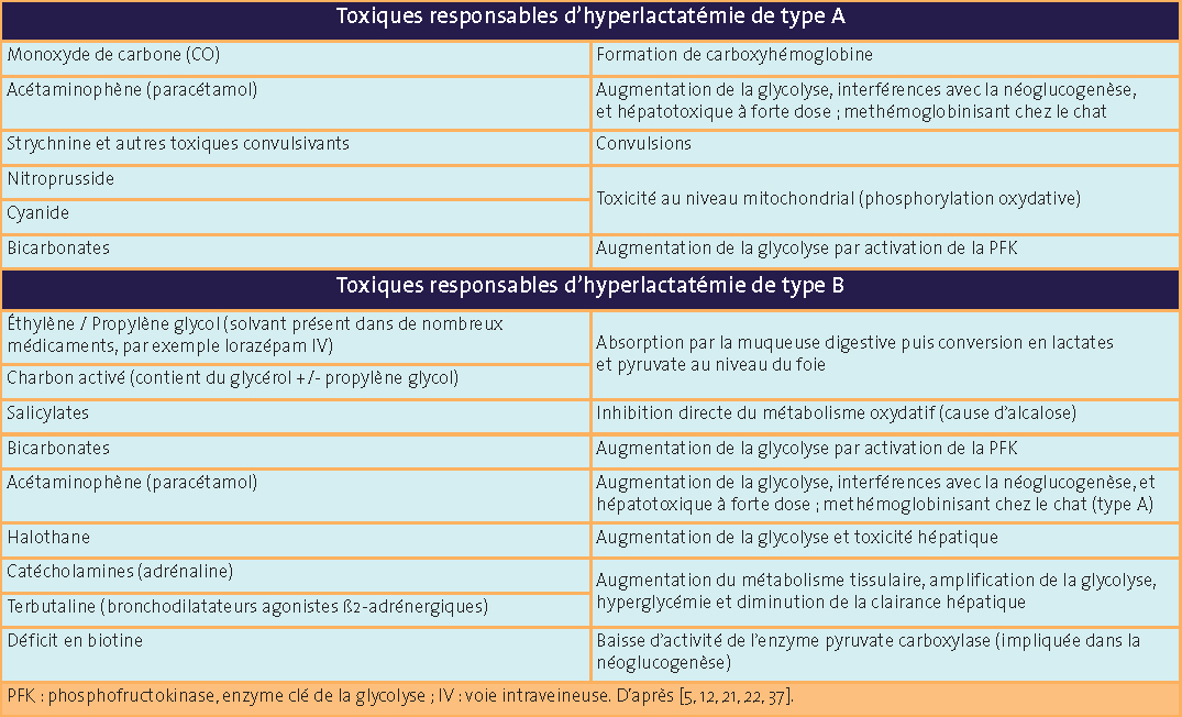 Lactate | Pense-bête